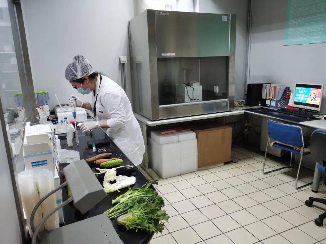 汤原食品检测实验室装修方案
